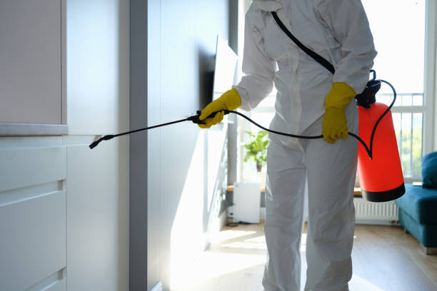 Best Black Mold Removal  in Parker, AZ