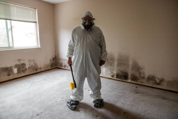 Best Mold Damage Repair  in Parker, AZ